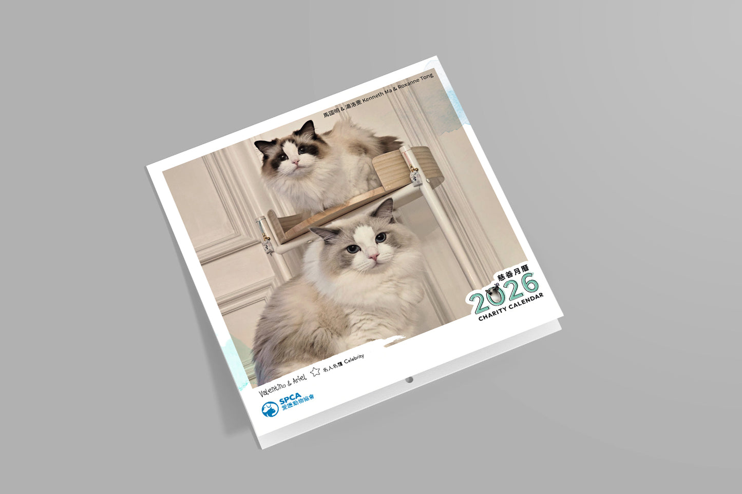 SPCA Cat Monthly Wall Calendar 2026