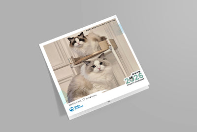 SPCA Cat Monthly Wall Calendar 2026