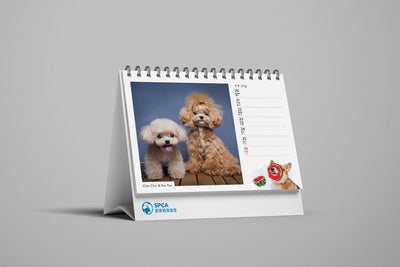SPCA Dog Weekly Desk Calendar 2026
