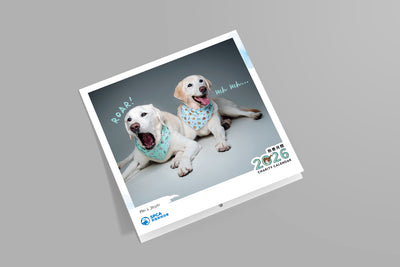 SPCA Dog Monthly Wall Calendar 2026