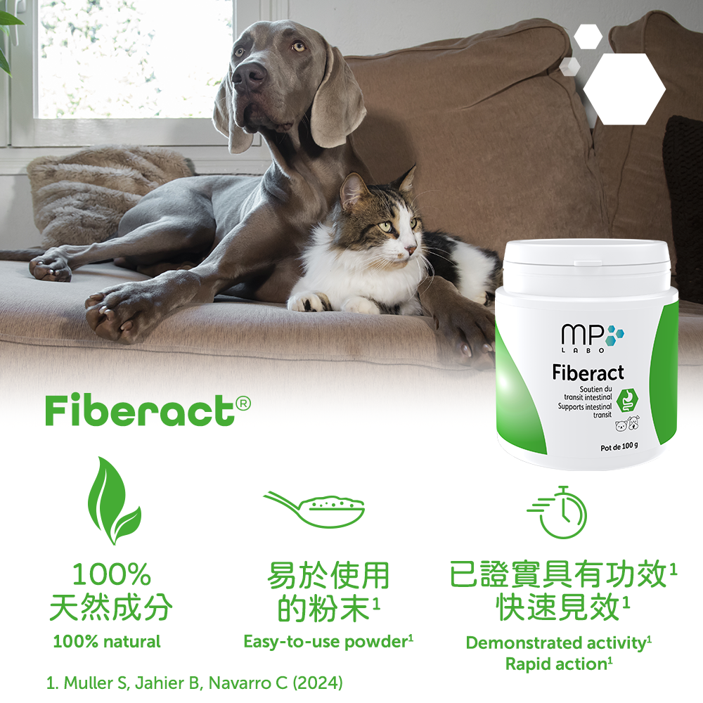 MP Labo - Fiberact Psyllium for Digestive Health in Dogs & Cats 100g