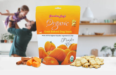 GrandmaLucys Organic Oven Baked Dog Treats-Pumpkin 14oz