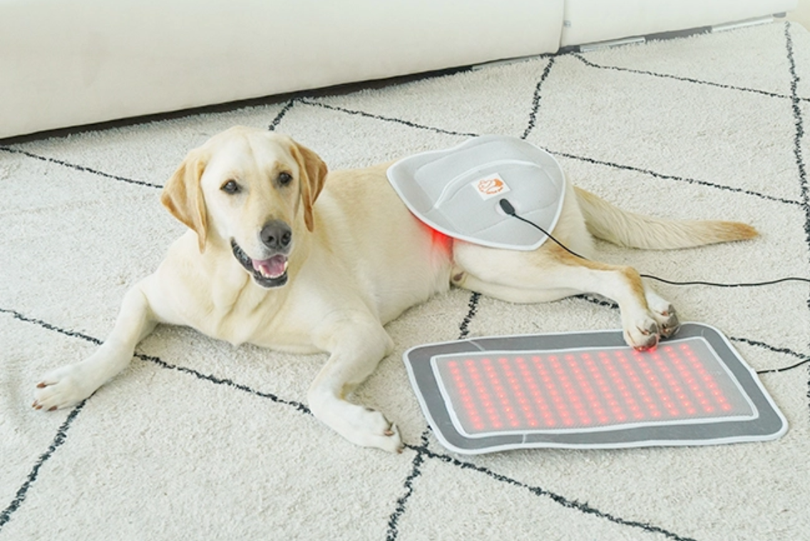 Cirius pet Warm Pad-Pro (Enlargr) PH-LS07 (Pre Order)