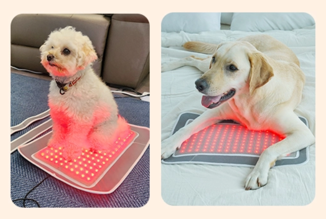 Cirius pet Warm Pad-Pro (Enlargr) PH-LS07 (Pre Order)