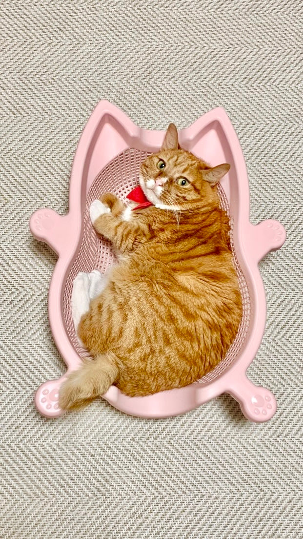 CATBANG-SOKURI Basket Cat Bed <9KG