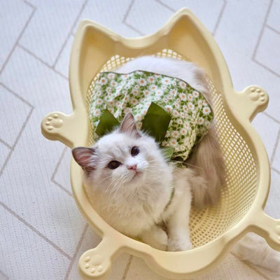 CATBANG - Sokuri <9kg