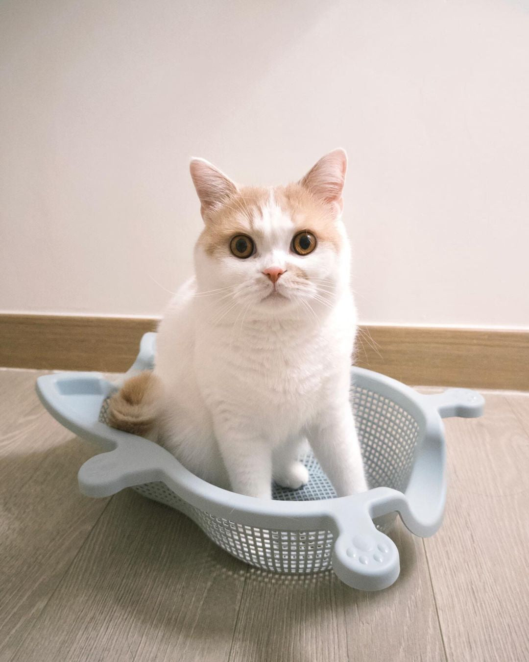 CATBANG-SOKURI Basket Cat Bed <9KG