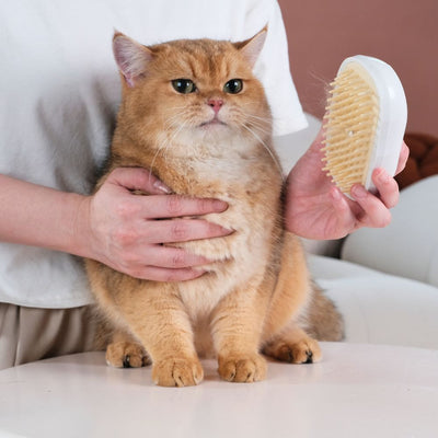 HINOKI SENSEI-Dry bath ultrasonic spray comb