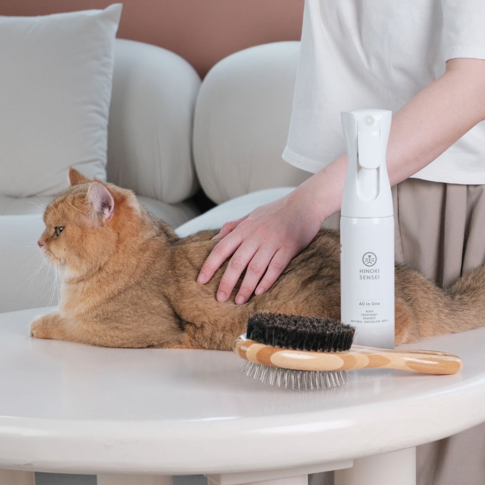 HINOKI SENSEI-Dual-Use Massage Comb (Long/short Ha