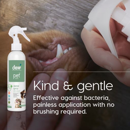 Dew Pet Care Dental Spray 250ml #NDP-05-250