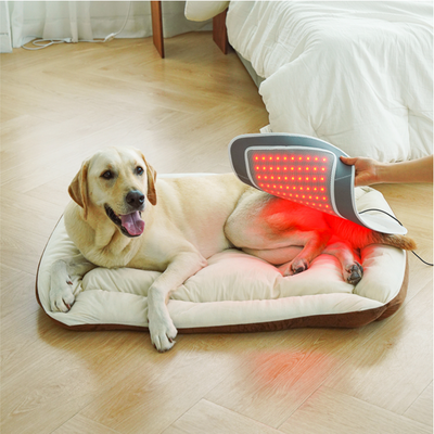 Cirius pet Warm Pad-Pro (Enlargr) PH-LS07 (Pre Order)