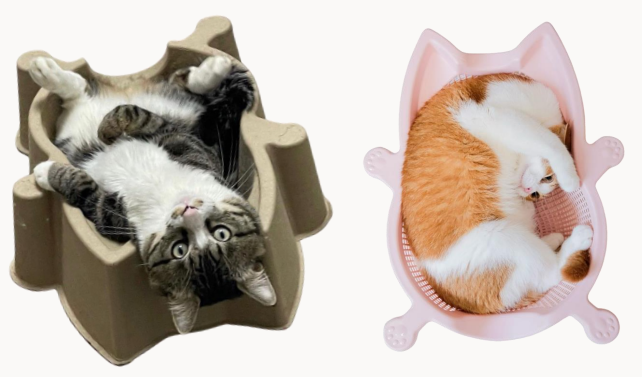 CATBANG BUNDLES- Free Key Ring