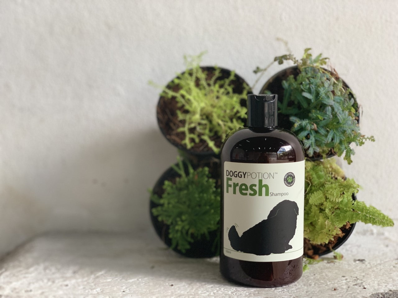 DOGGY-Fresh Shampoo With Oatmeal 500ml #DP-6488