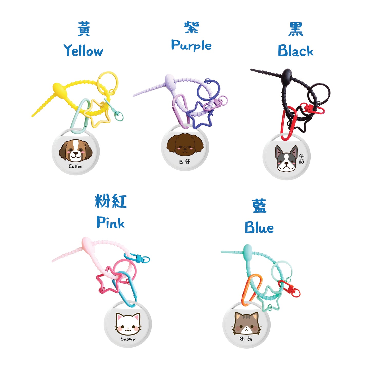 Find My Pet Tag