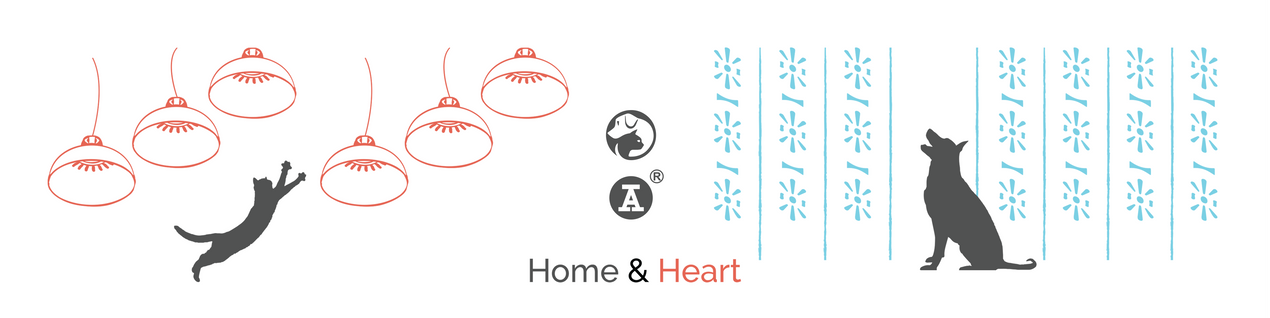 Home & Heart: SPCA x Red A Collection