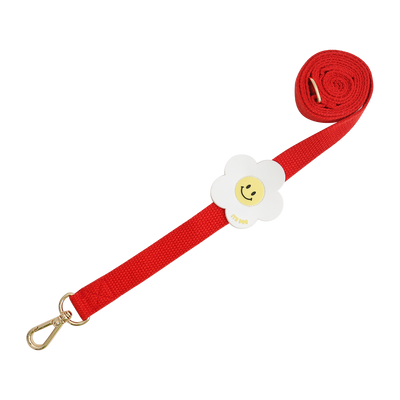 Ice Popping Leash
