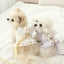 Petit Minyong Angel Harness