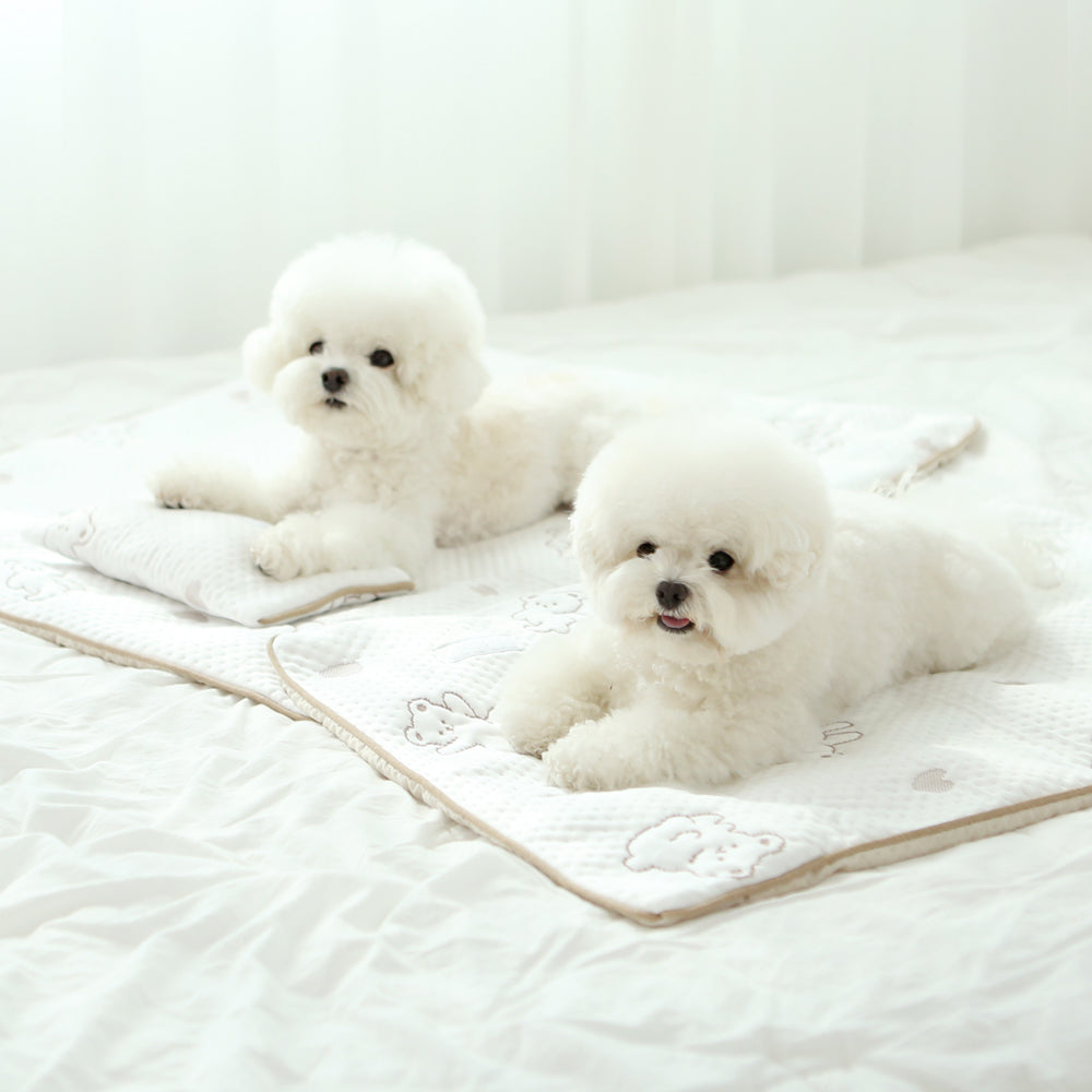 Forpe Cooling Mat