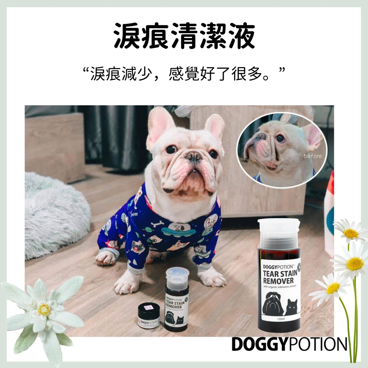 DoggyPotion 寵物淚痕清潔液 (有機雪絨花配方) 120ml