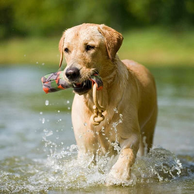 Major Dog Buoy Dummy (S)