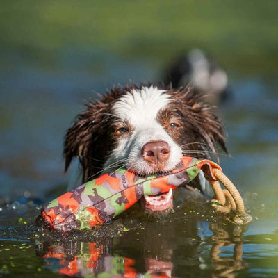 Major Dog Buoy Dummy (L)