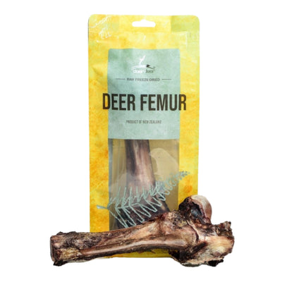 Deer Femur