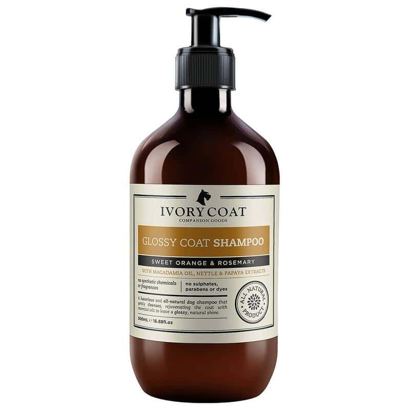 IvoryCoat Glossy Coat Shampoo 500ml #804600