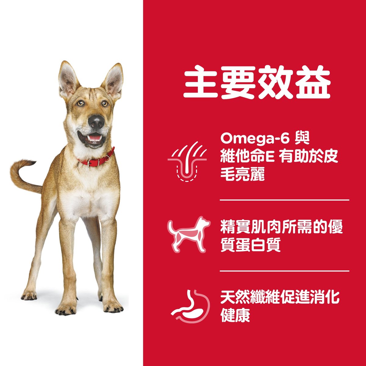 Hills Canine Adult (OB) 3kg#6486HG