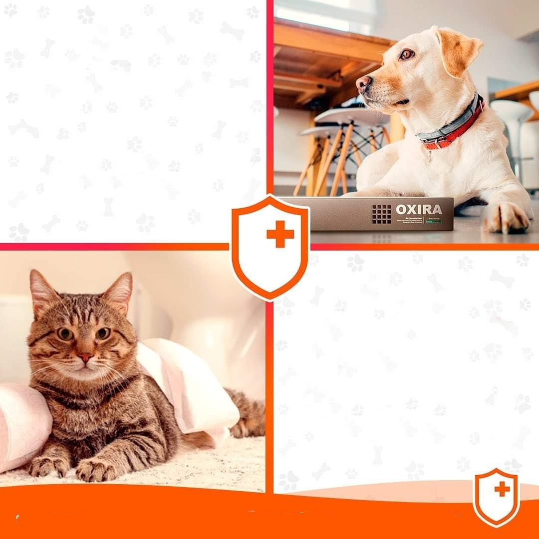 OXIRA Australian Made Professional Air Sanitiser