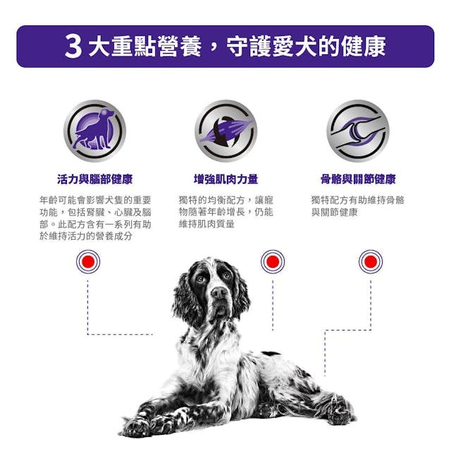 Royal Canin  Mature Consult Dog Pouch 85g #3019300 - SPCA HK
