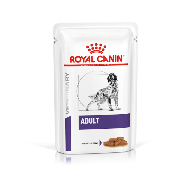 Royal Canin Adult Dog Pouch 100g #3018500 - SPCA HK