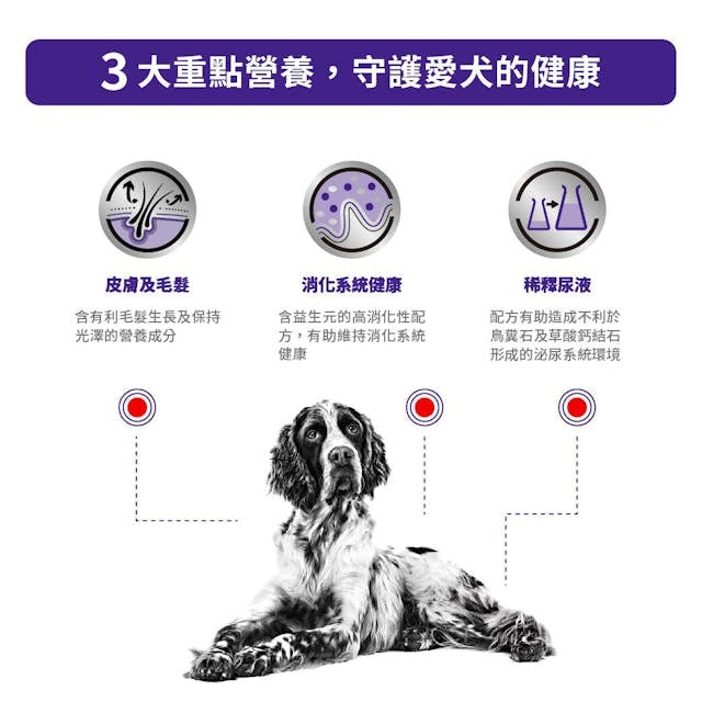 Royal Canin Adult Dog Pouch 100g #3018500 - SPCA HK