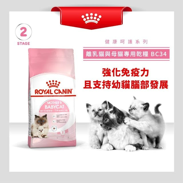 RC FHN Cat Mother & Babycat 2kg #2544020012-SPCA HK