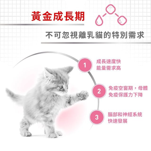 RC FHN Cat Mother & Babycat 2kg #2544020012-SPCA HK