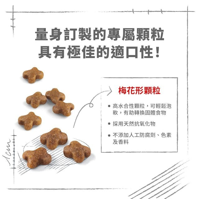 RC FHN Cat Mother & Babycat 2kg #2544020012-SPCA HK