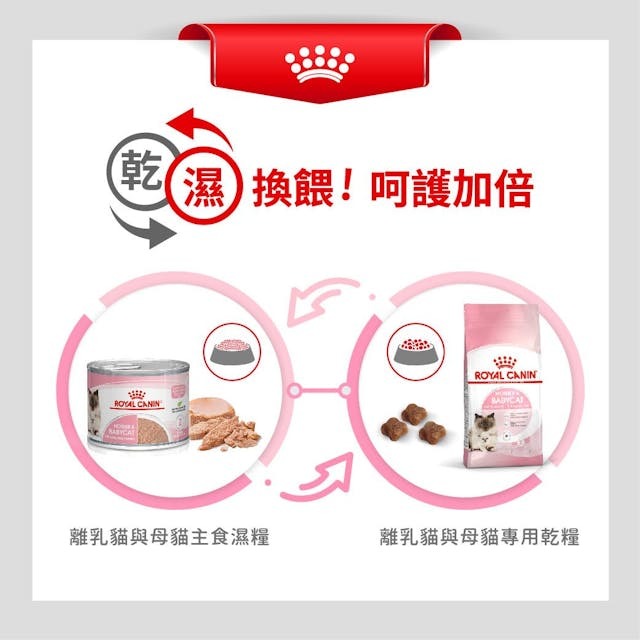 RC FHN Cat Mother & Babycat 2kg #2544020012-SPCA HK