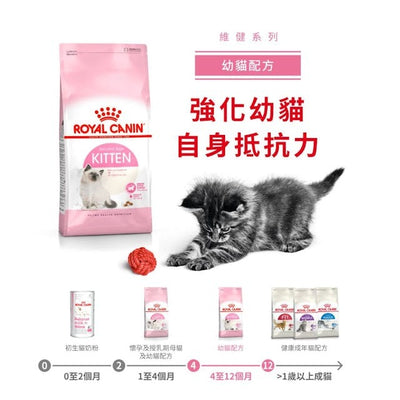 RC FHN Cat Kitten 2kg #2522020012-SPCA HK