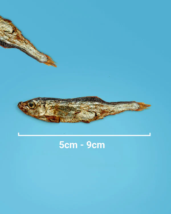 Skippers 天然風乾小鯡魚 250g #DSP250