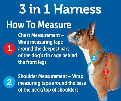 PetSafe 3 in 1 Harness