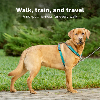 PetSafe 3 in 1 Harness