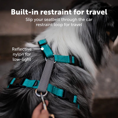 PetSafe 3 in 1 Harness