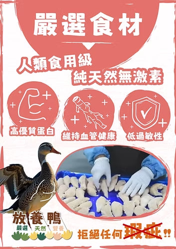 NK Freeze-Dried Duck Fillets 100g #DB100