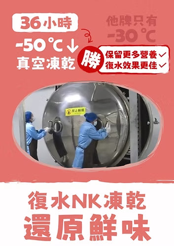 NK Freeze-Dried Duck Fillets 100g #DB100