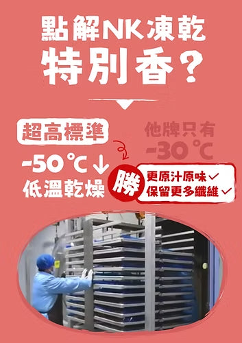 NK Freeze-Dried Duck Fillets 100g #DB100