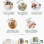 HINOKI SENSEI-All In One Essence(Dry Cleaning)-Refill