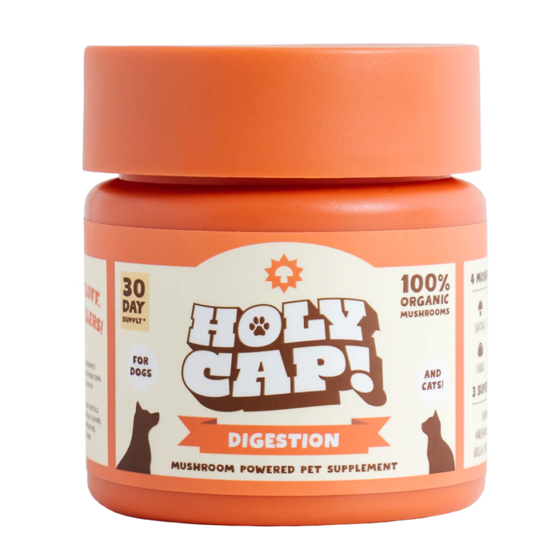 Holy Cap - Digestion