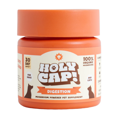 Holy Cap - Digestion-SPCA HK