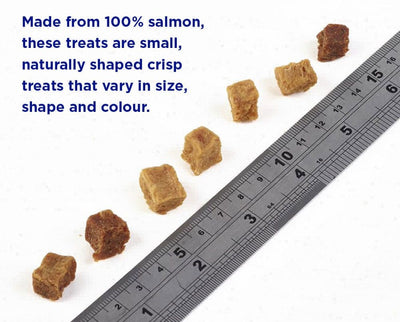 FISH4DOGS Treats - Salmon Bites 80g #SAB765