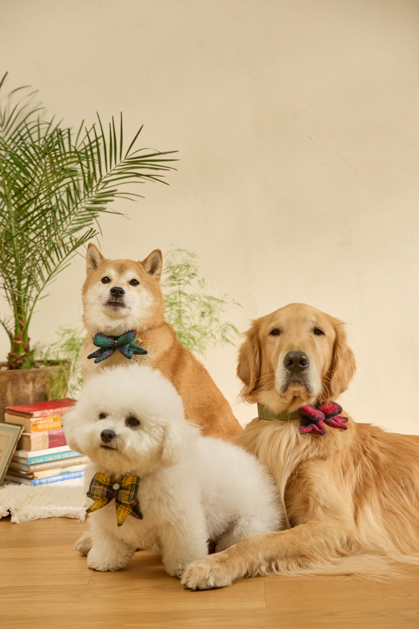 HIKOINU - 格紋蝴蝶結