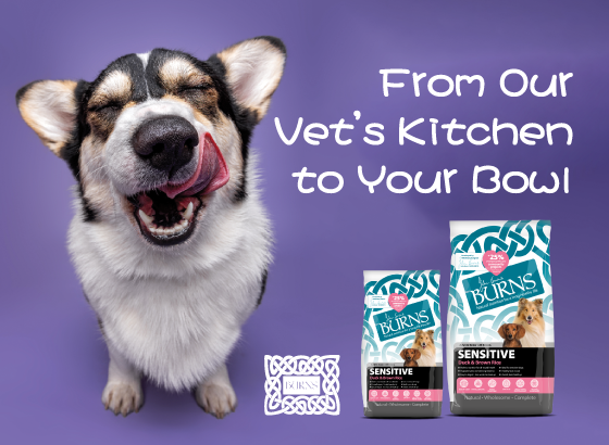 SPCA Online Shop – SPCA HK